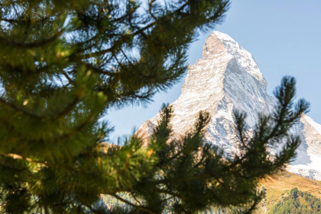 Bed & Breakfast Bijou Zermatt Kültér fotó